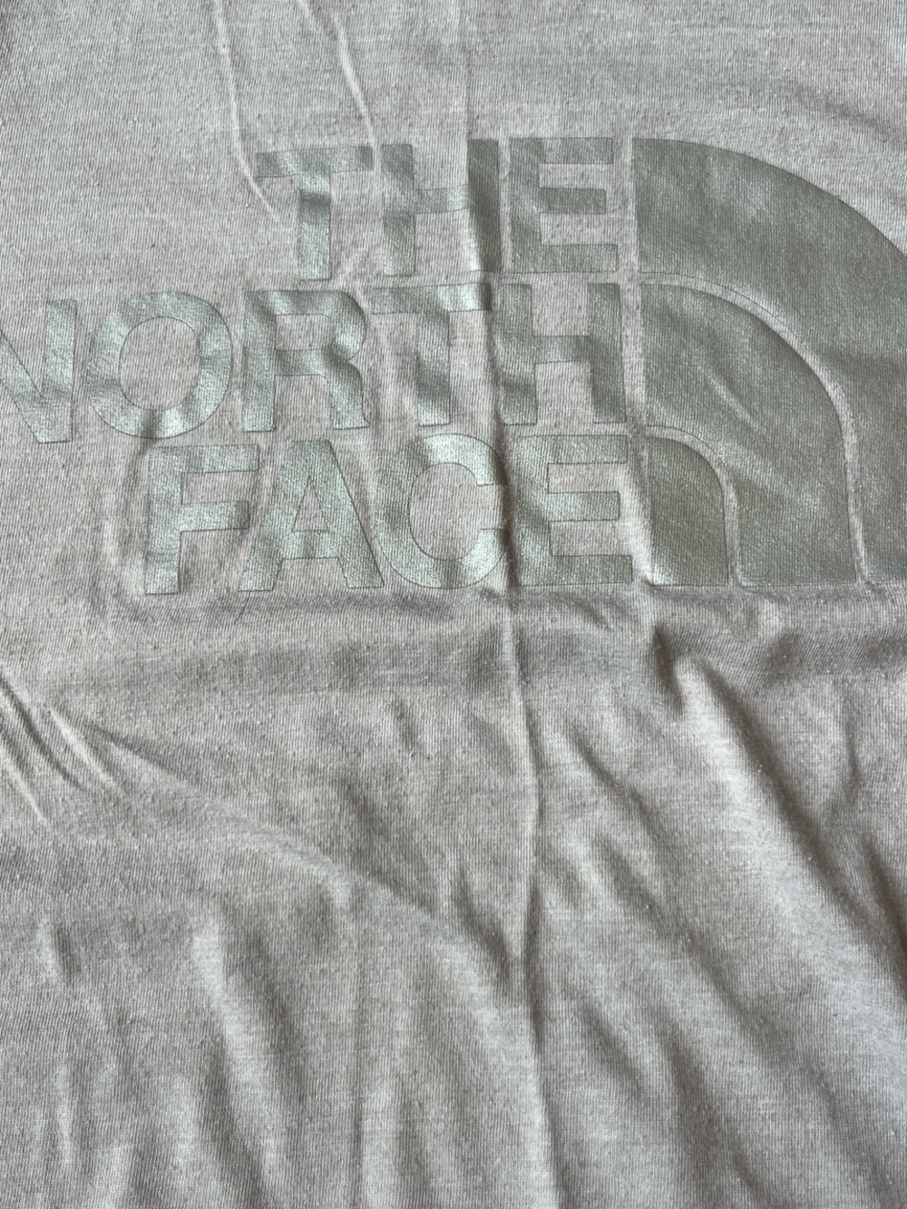 The North Face Light Beige Logo Crew Tee - Picture 2 of 3